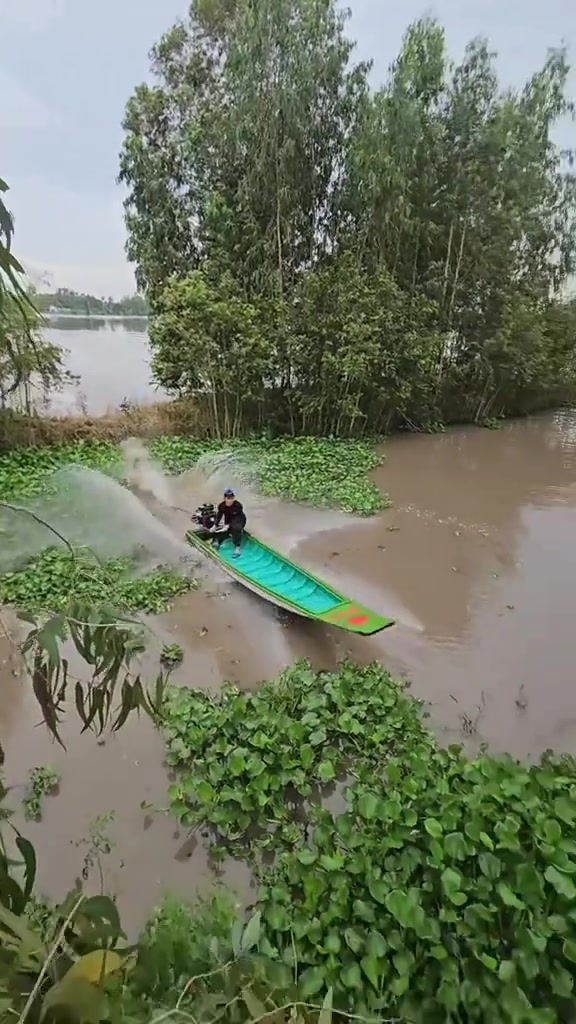 这算不算水路两栖船
