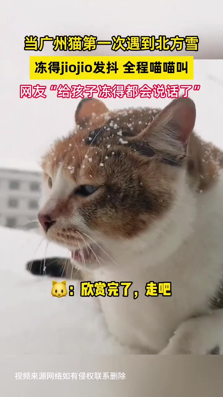 网友：给孩子冻的都会说话了