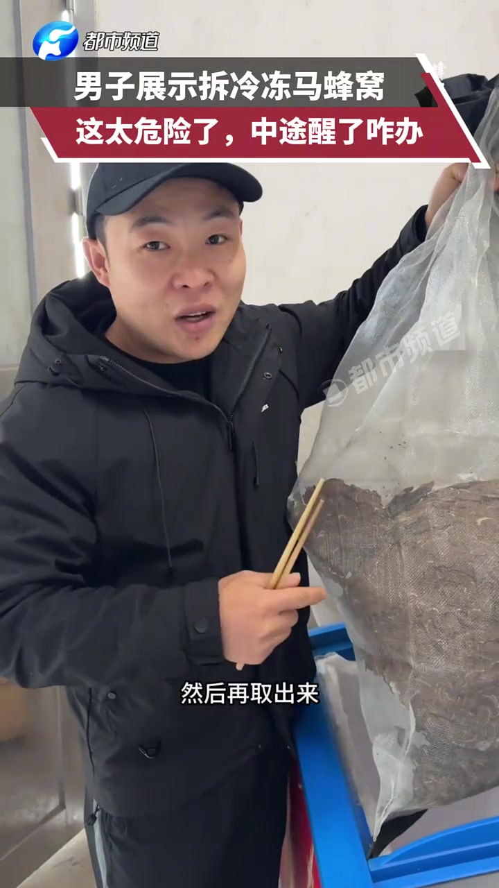 男子展示拆冷凍馬蜂窩，這也太危險了，中途醒了咋辦