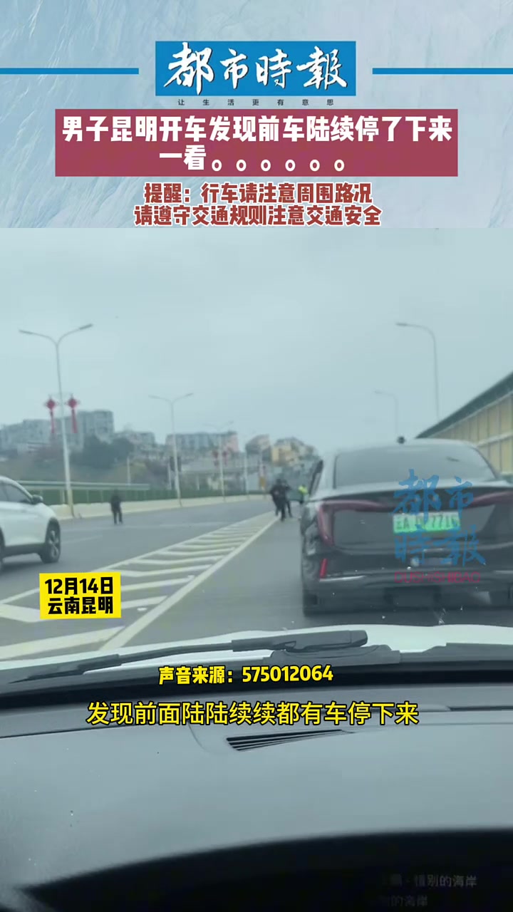 男子開車發(fā)現(xiàn)前車陸續(xù)停了！下來一看，原來是