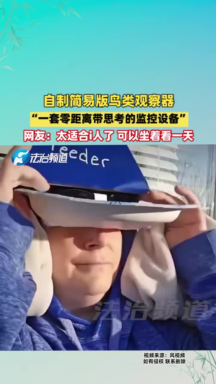 太适合i人了，可以坐着看一天！