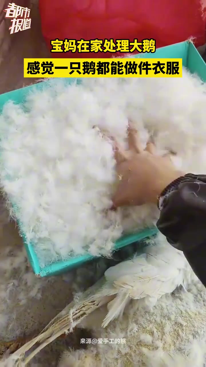 宝妈在家处理大鹅，感觉一只鹅都能做件衣服！