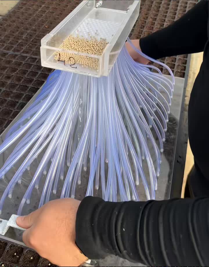 那么一个一个扔快，还是他这样快