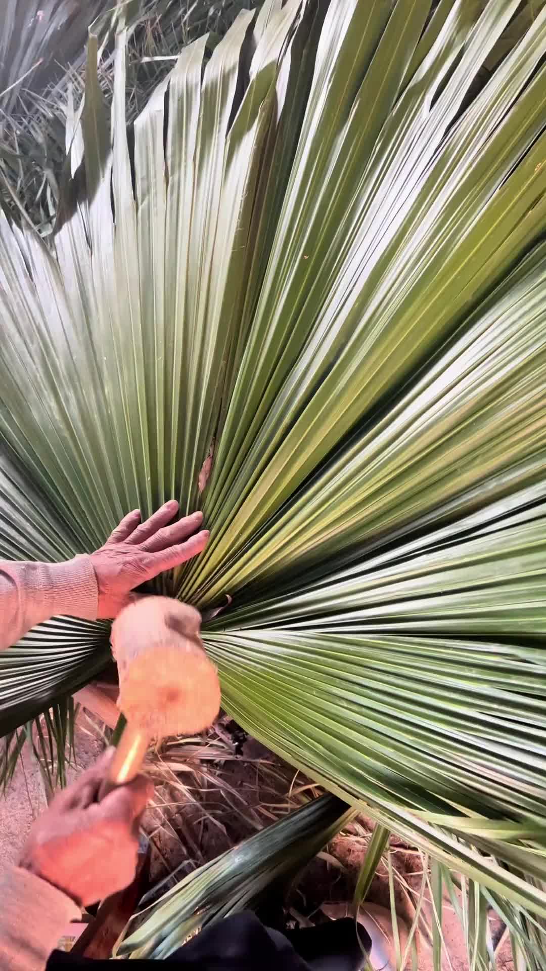 原来这种扇子是这样做出来的啊！
