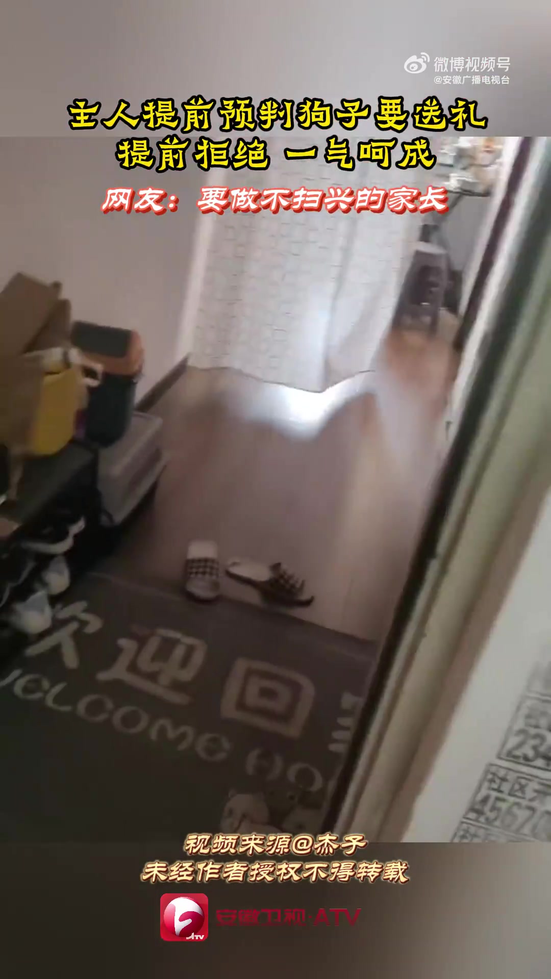 主人提前预判狗子要送礼，提前拒绝，一气呵成