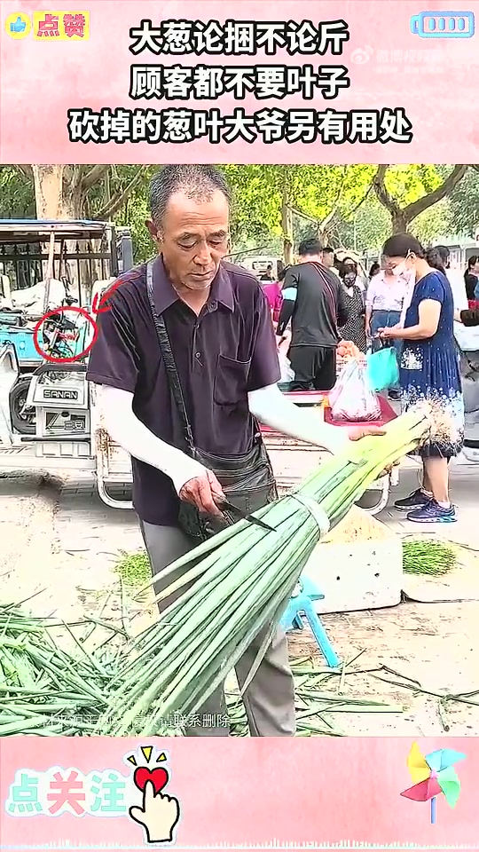 大葱论捆不论斤，顾客都不要叶子，砍掉的葱叶大爷另有用处！！！
