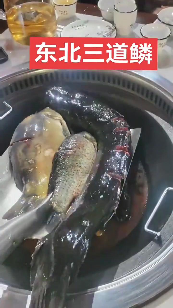 东北三道鳞！大家有吃过吗