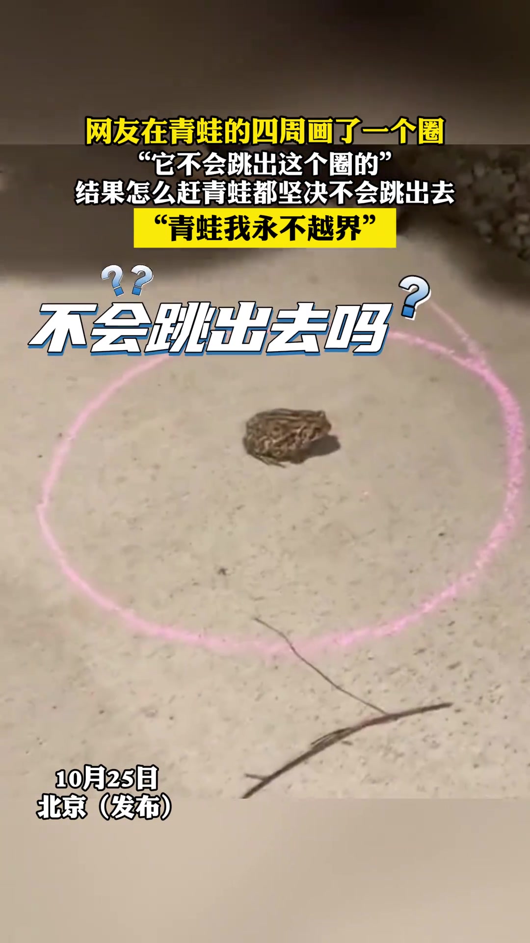 网友在青蛙的四周画了一个圈结果怎么赶青蛙都坚决不会跳出去