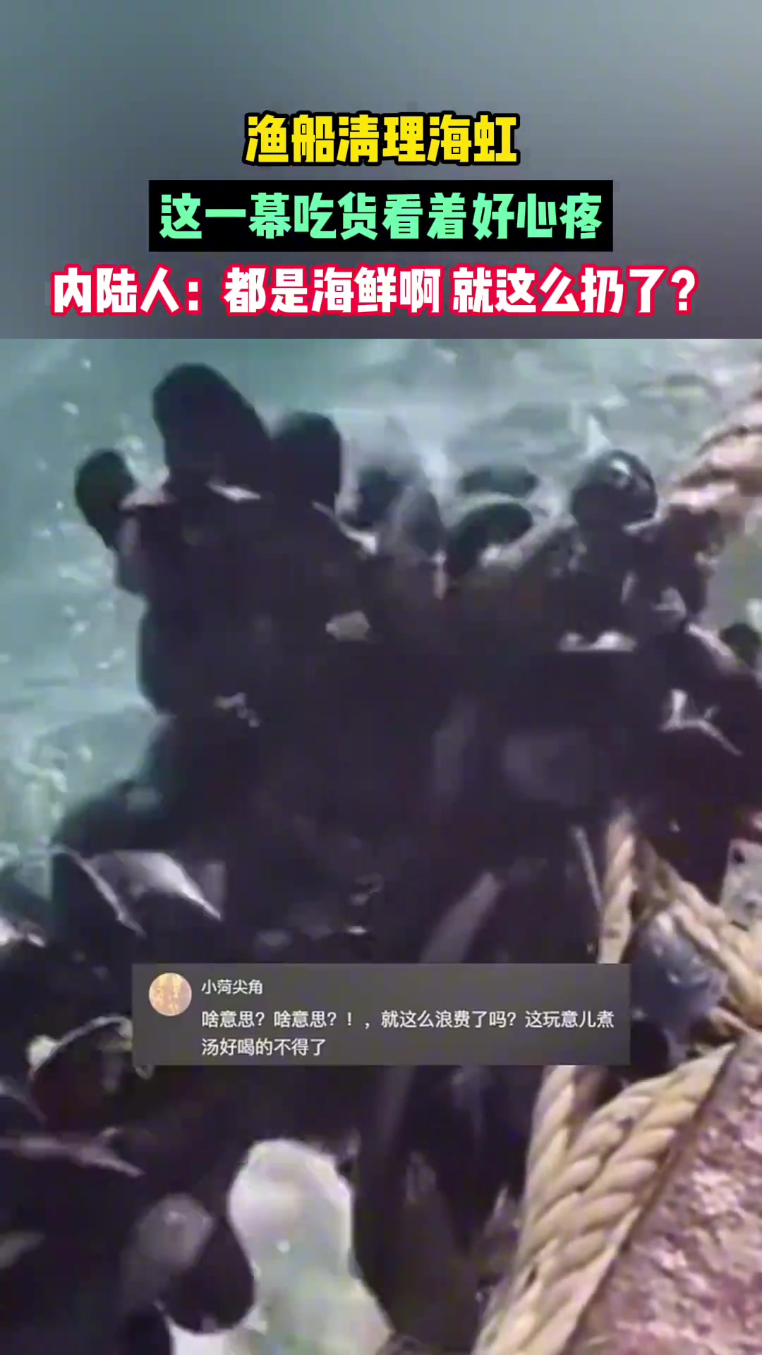 渔船清理海虹，这一幕吃货看着好心疼