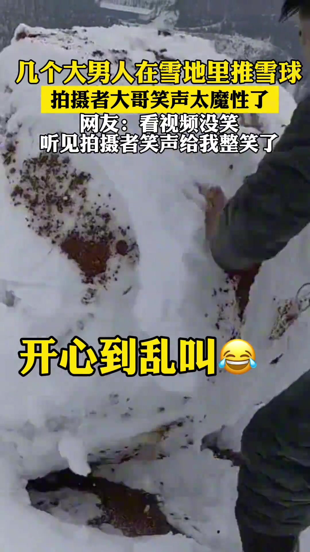 几个大男人在雪地里推雪球拍摄者大哥的笑声太魔性了