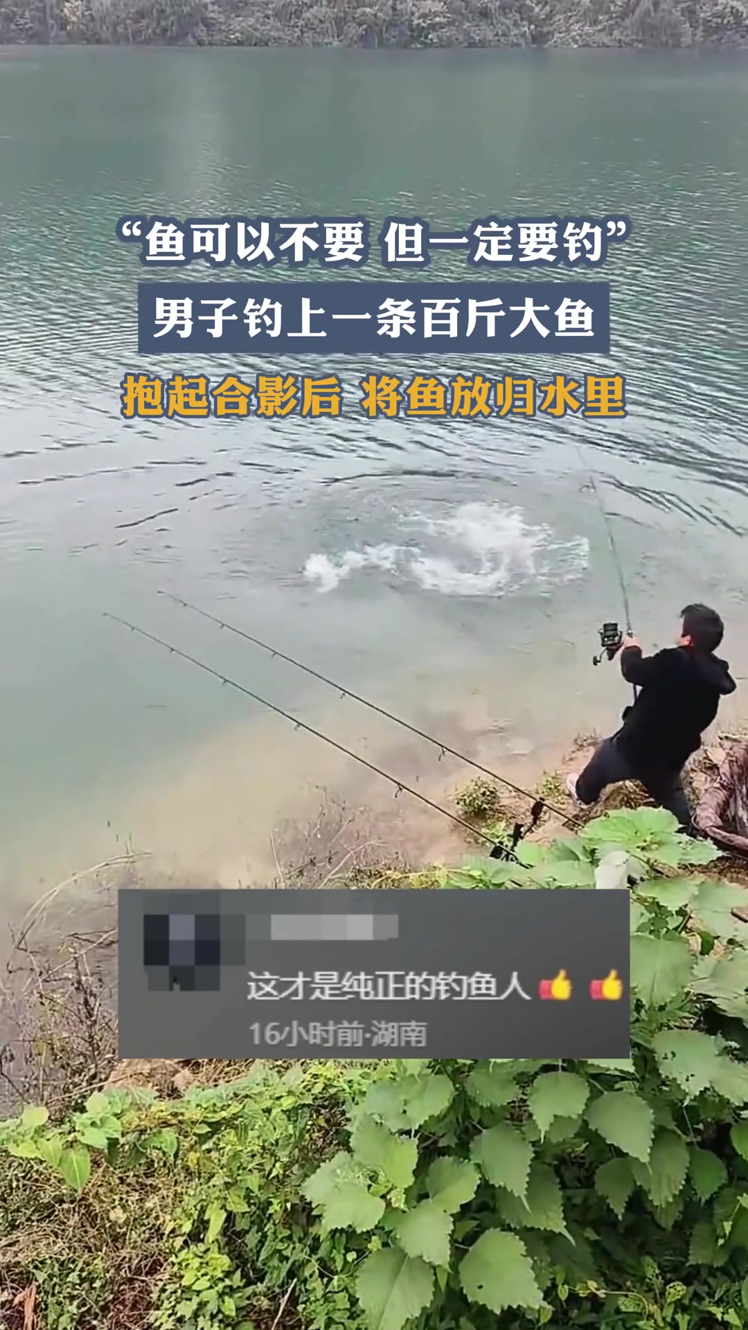 鱼可以不要但一定要钓男子钓上一条百斤大鱼合影后放生