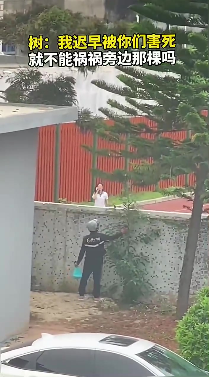 树：就不能嚯嚯旁边那棵树吗