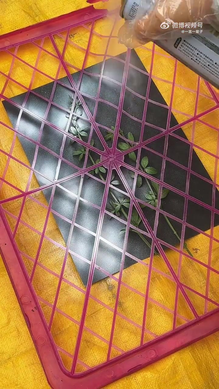 用一个破篮子盖把植物拓出意境美