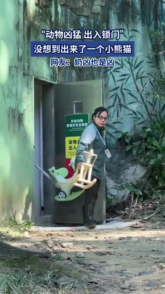“动物凶猛，出入锁门”，没想到出来了一个小熊猫