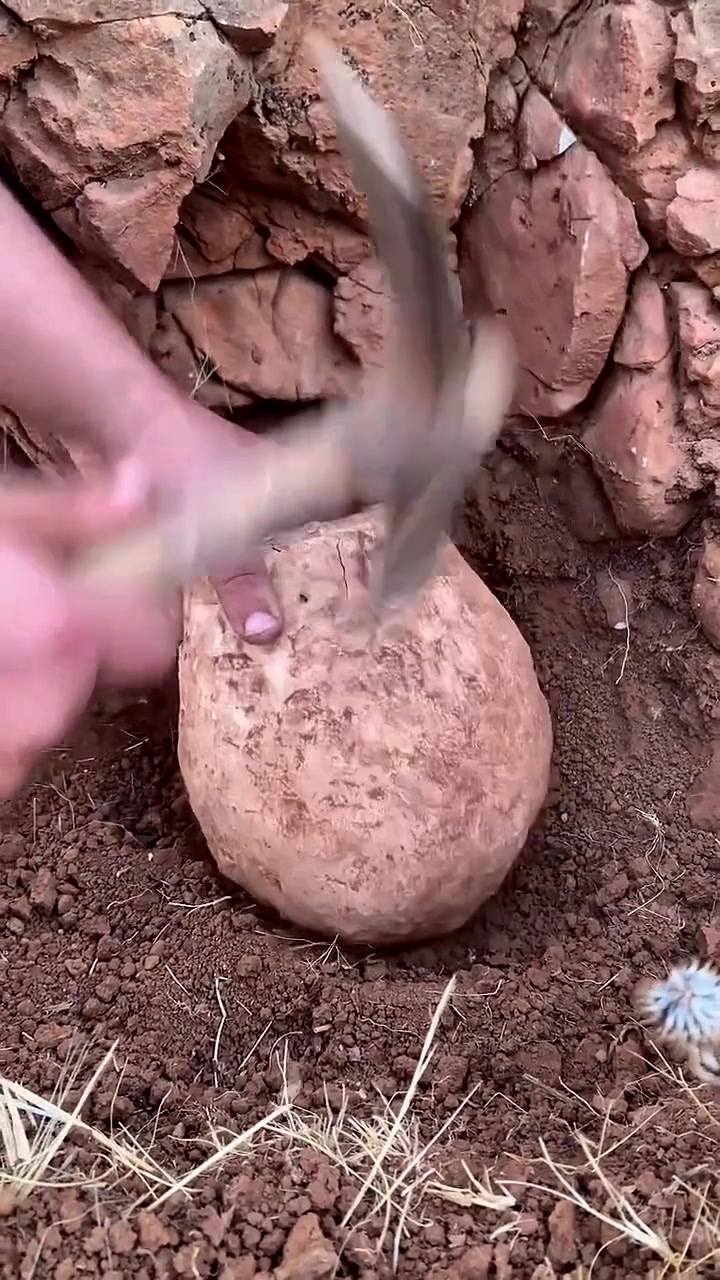 挖出的宝贝，竟然看起来像是刚放进去的