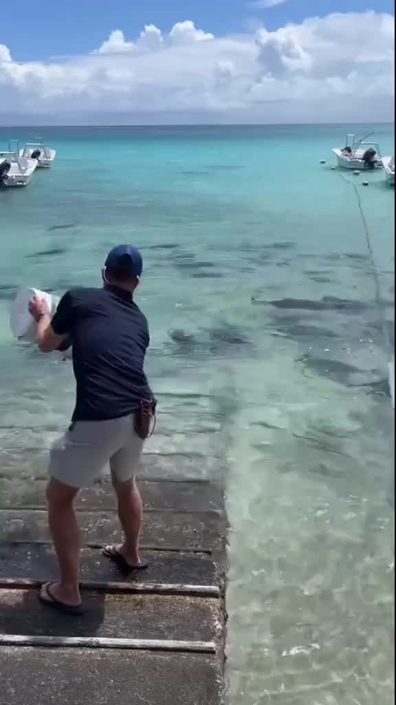 这是啥鱼啊，看着还挺凶的