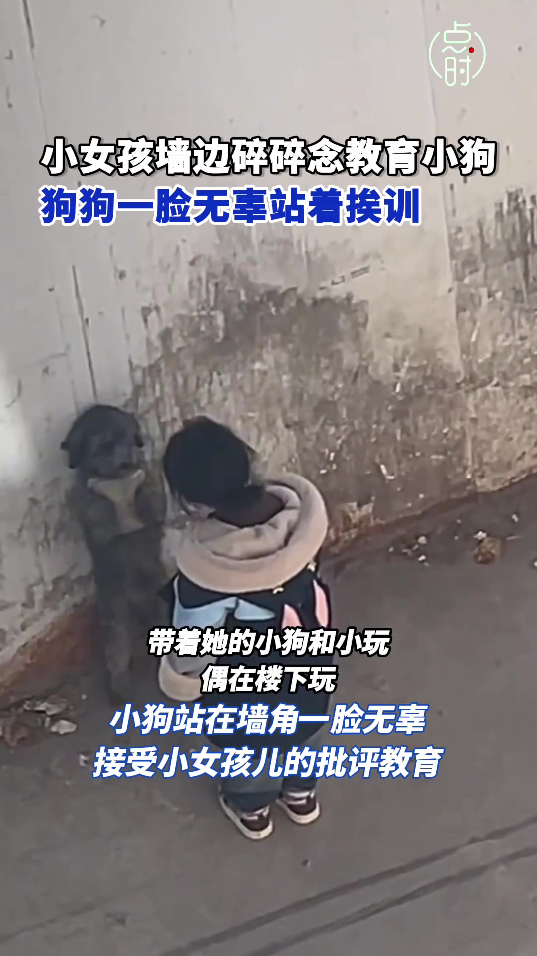 小狗弄脏玩偶站墙边接受小主人教育