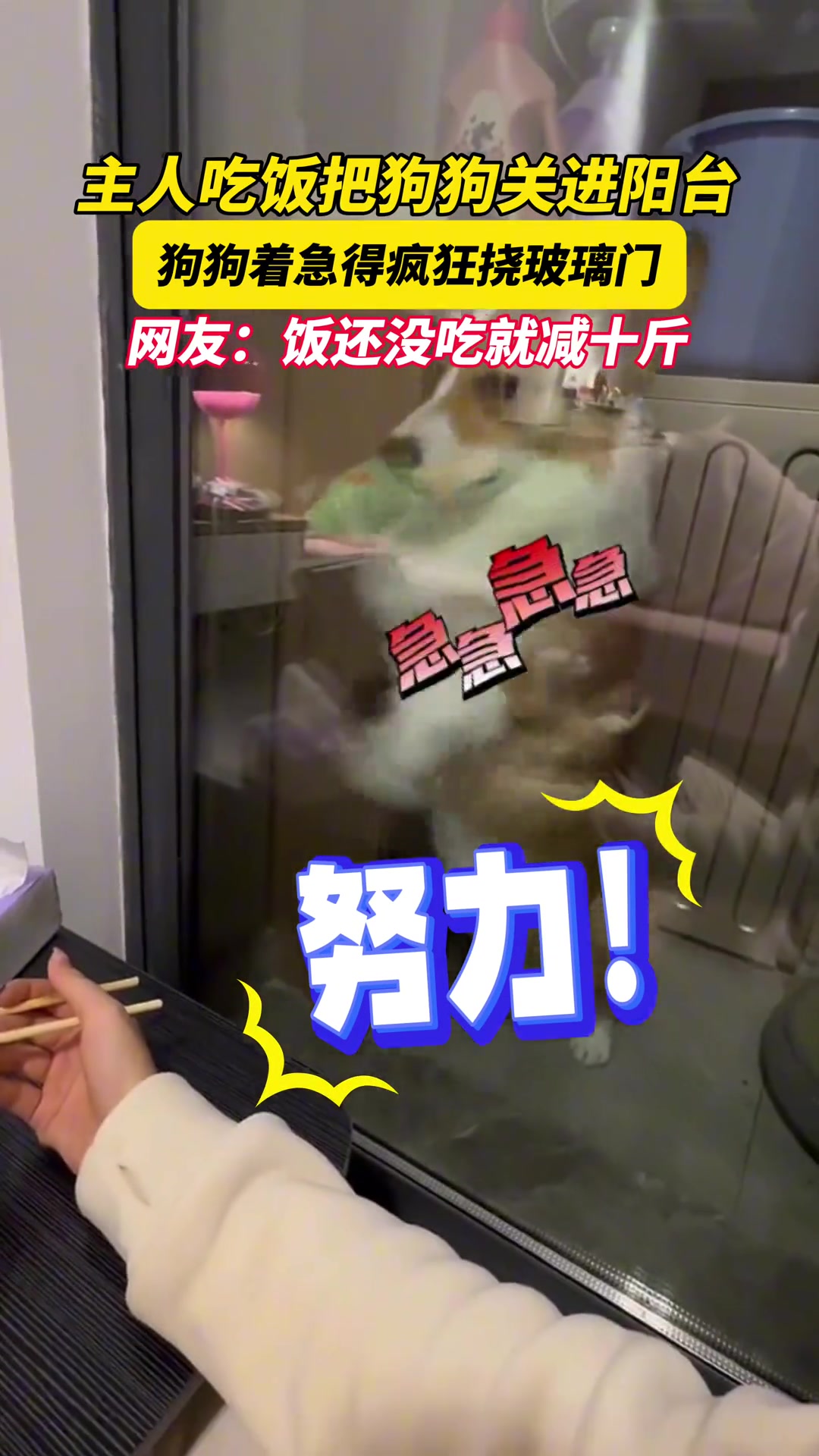 主人吃饭把狗子关在阳台狗狗着急得狂挠玻璃门