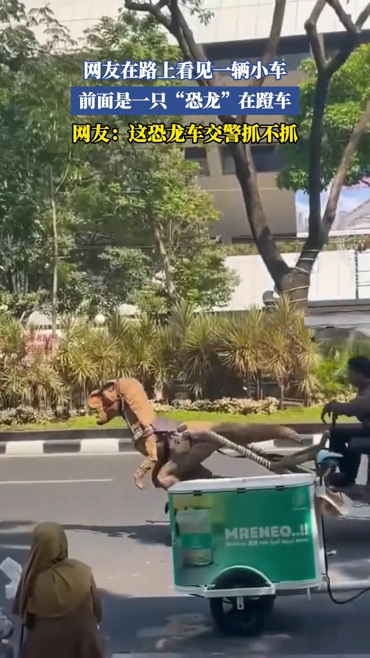 网友在路上看见一辆小车，前面是一只“恐龙”在蹬车！！！