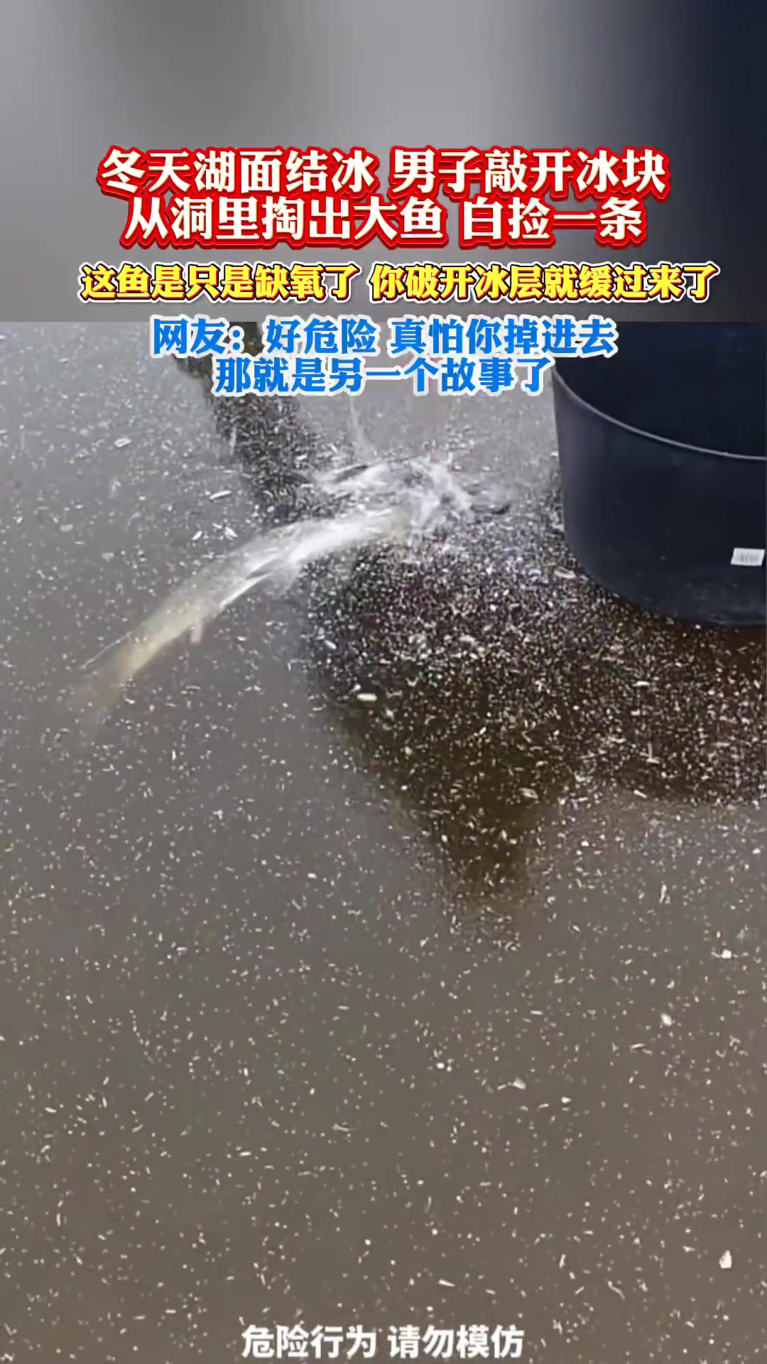 冬天湖面结冰，男子敲开冰块从洞里掏出大鱼，白捡一条