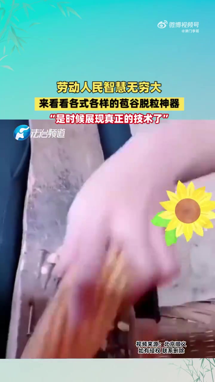 劳动人民智慧无穷大来看看各式各样的苞谷脱粒神器