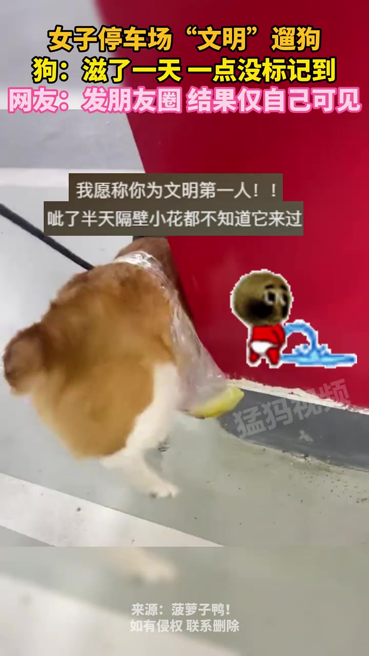 女子停车场“文明”遛狗，狗：滋了一天，一点没标记到！