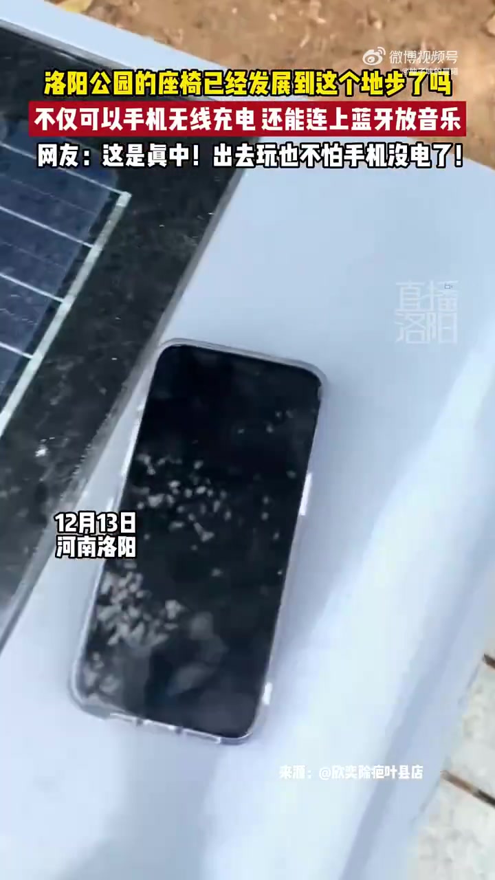 洛阳公园的座椅已经发展到这个地步了吗！