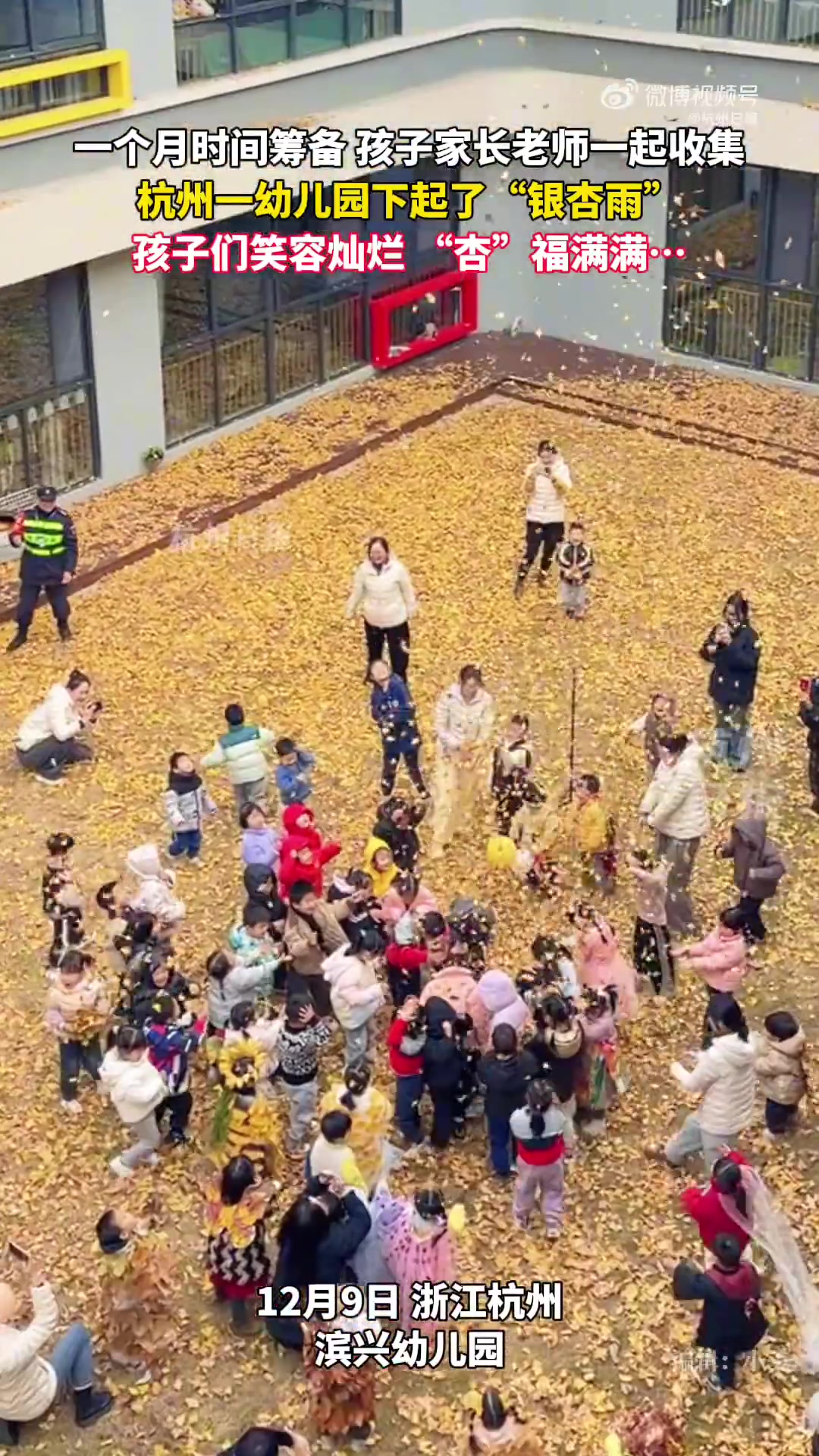 杭州一幼儿园下起浪漫银杏雨，给孩子们撒下一整个秋天
