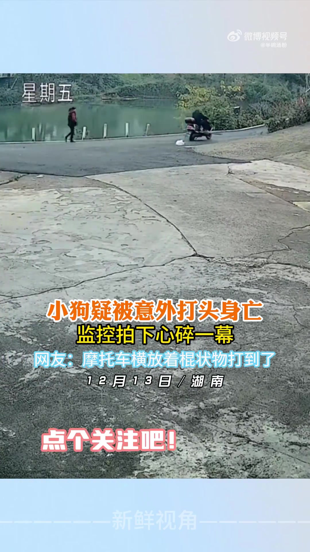 小狗疑被意外打头身亡监控拍下心碎一幕！