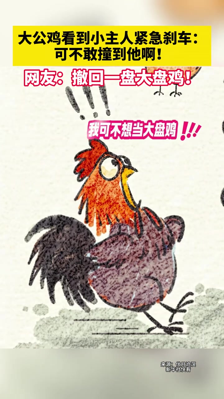 大公鸡看到小主人紧急刹车：可不敢撞到他啊！
