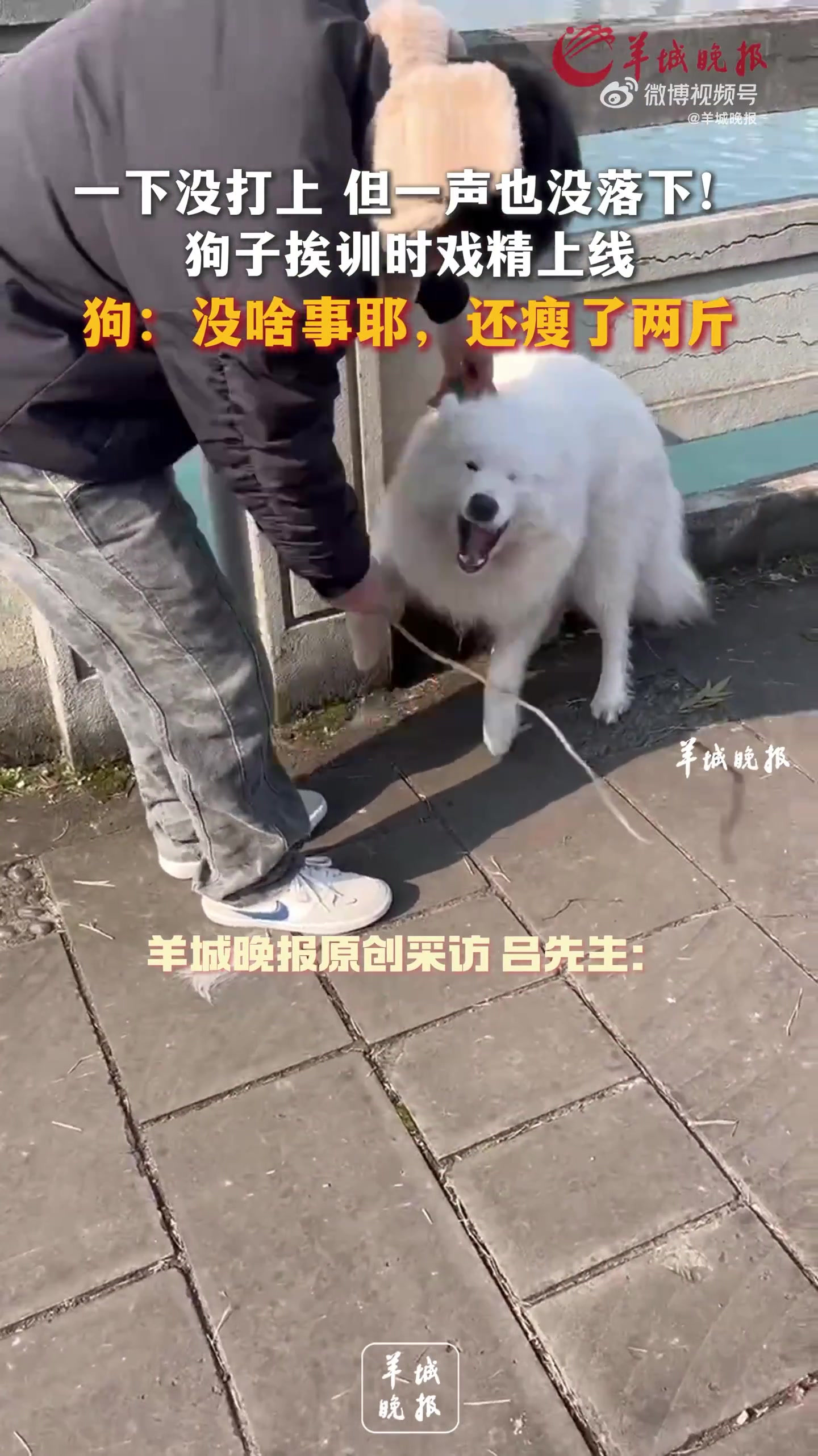 一下没打上，但一声也没落下！