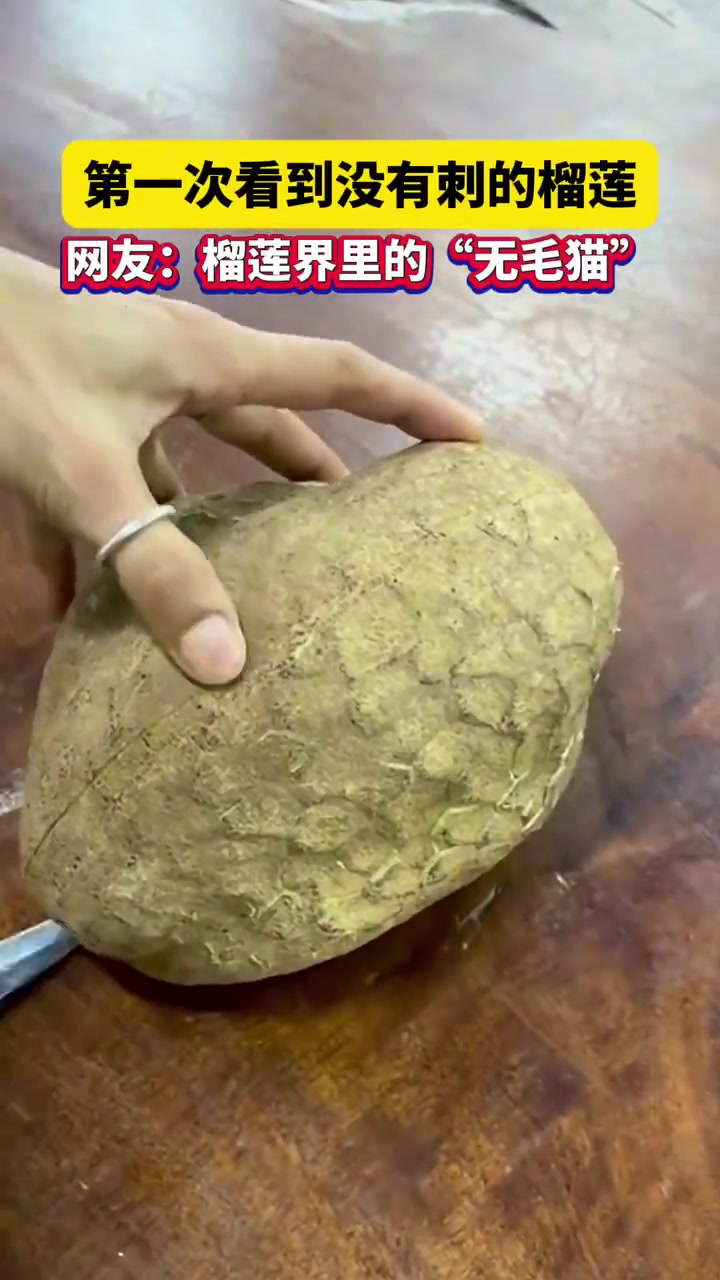 榴莲长成这样不让带刺榴莲笑话嘛