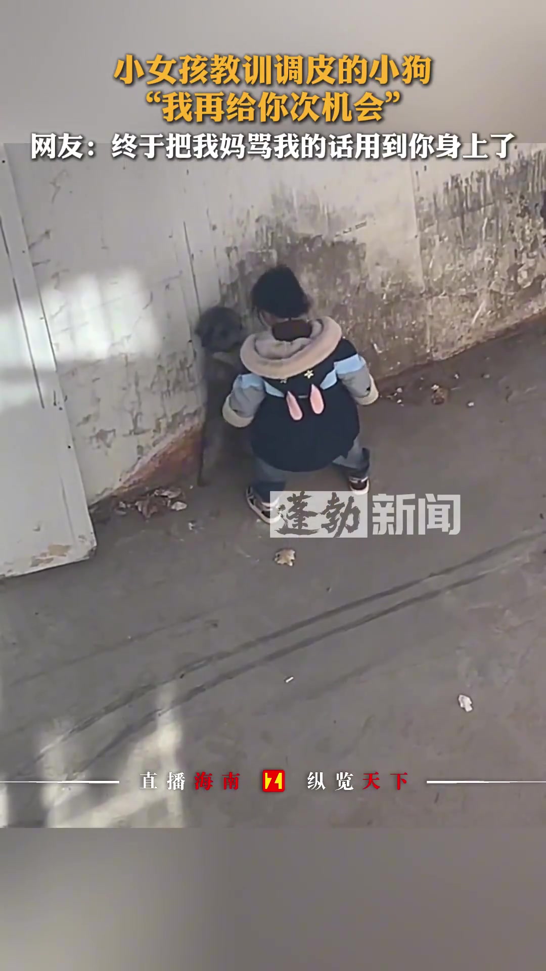 小女孩教训调皮的小狗：我再给你次机会！