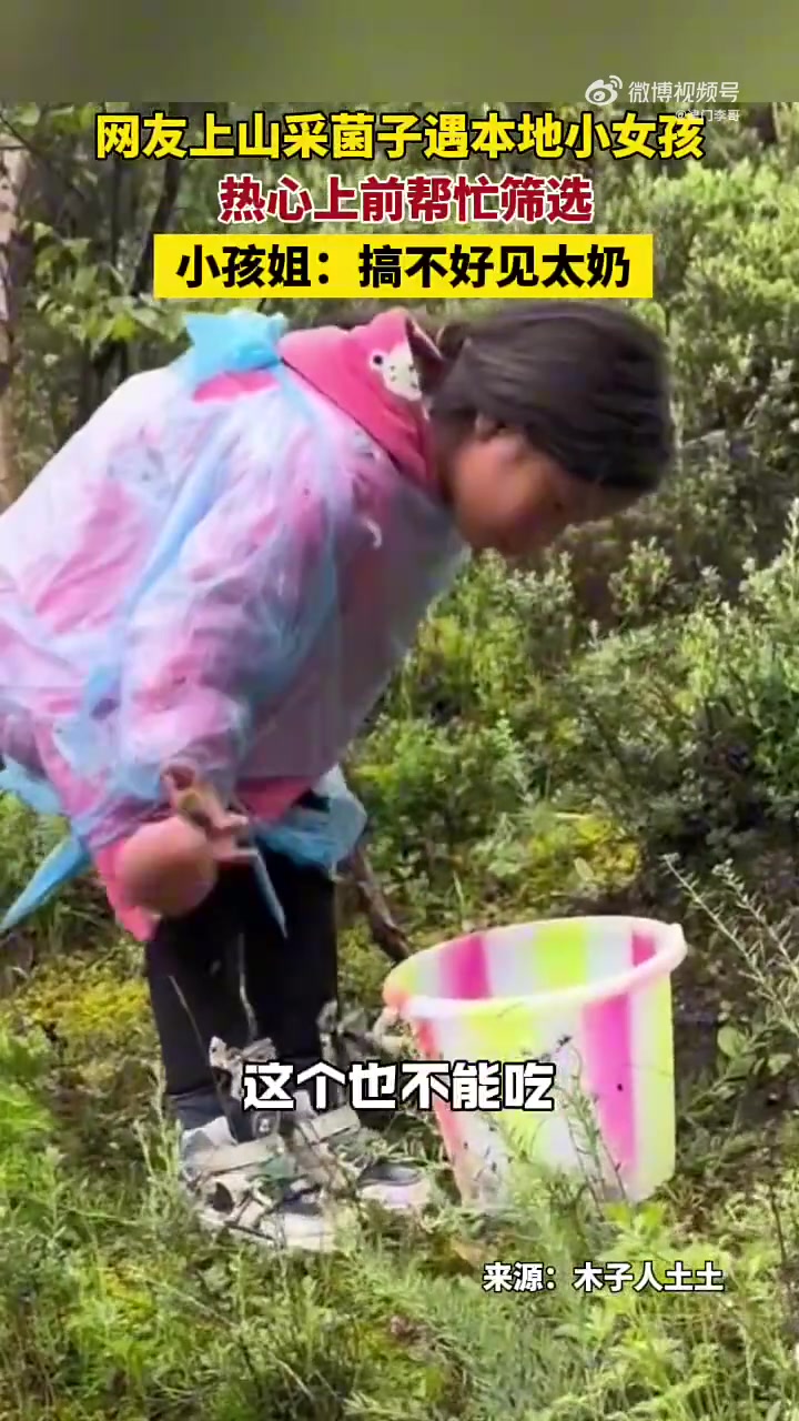 网友上山采菌子遇本地小女孩，热心上前帮忙筛选！