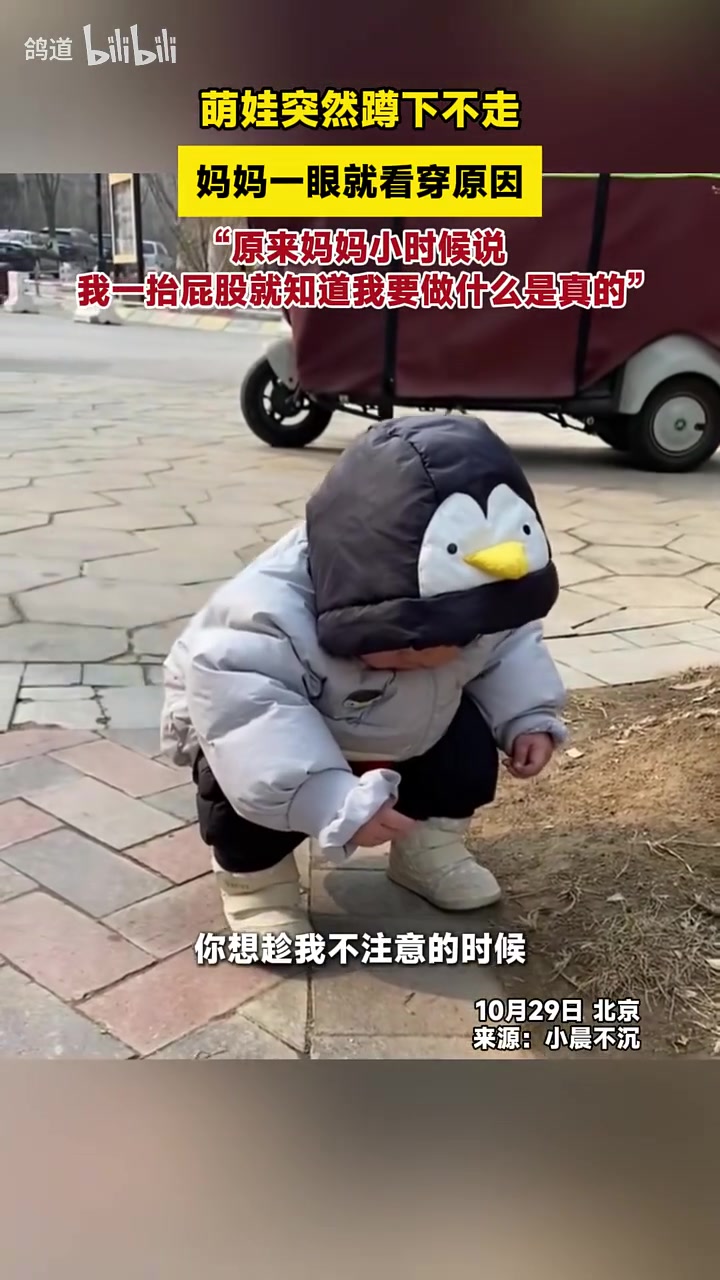 萌娃突然蹲下不走，妈妈一眼就看穿原因