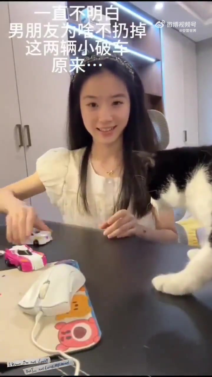猫咪都震惊了，真有这样的模型
