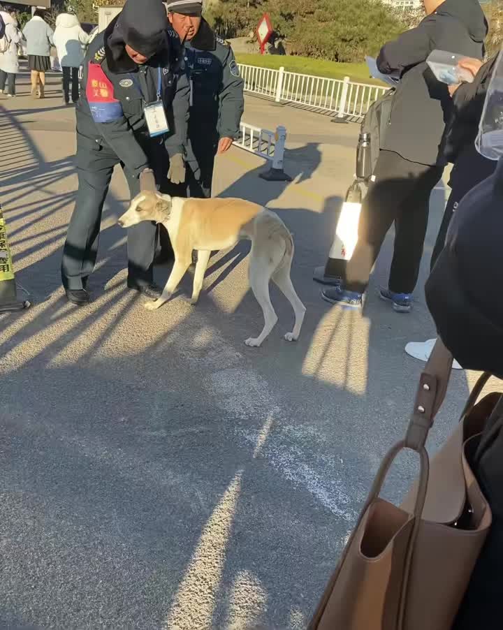 你有准考证吗你就随便进
