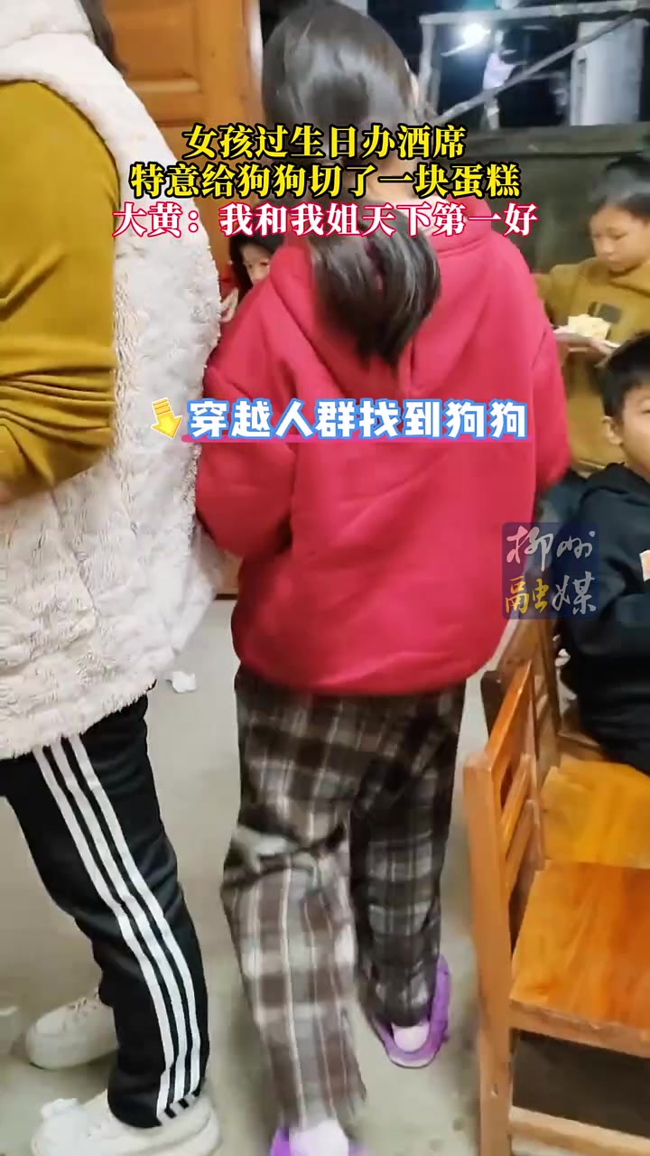 小女孩过生日办酒席，专门给狗狗切了一块蛋糕