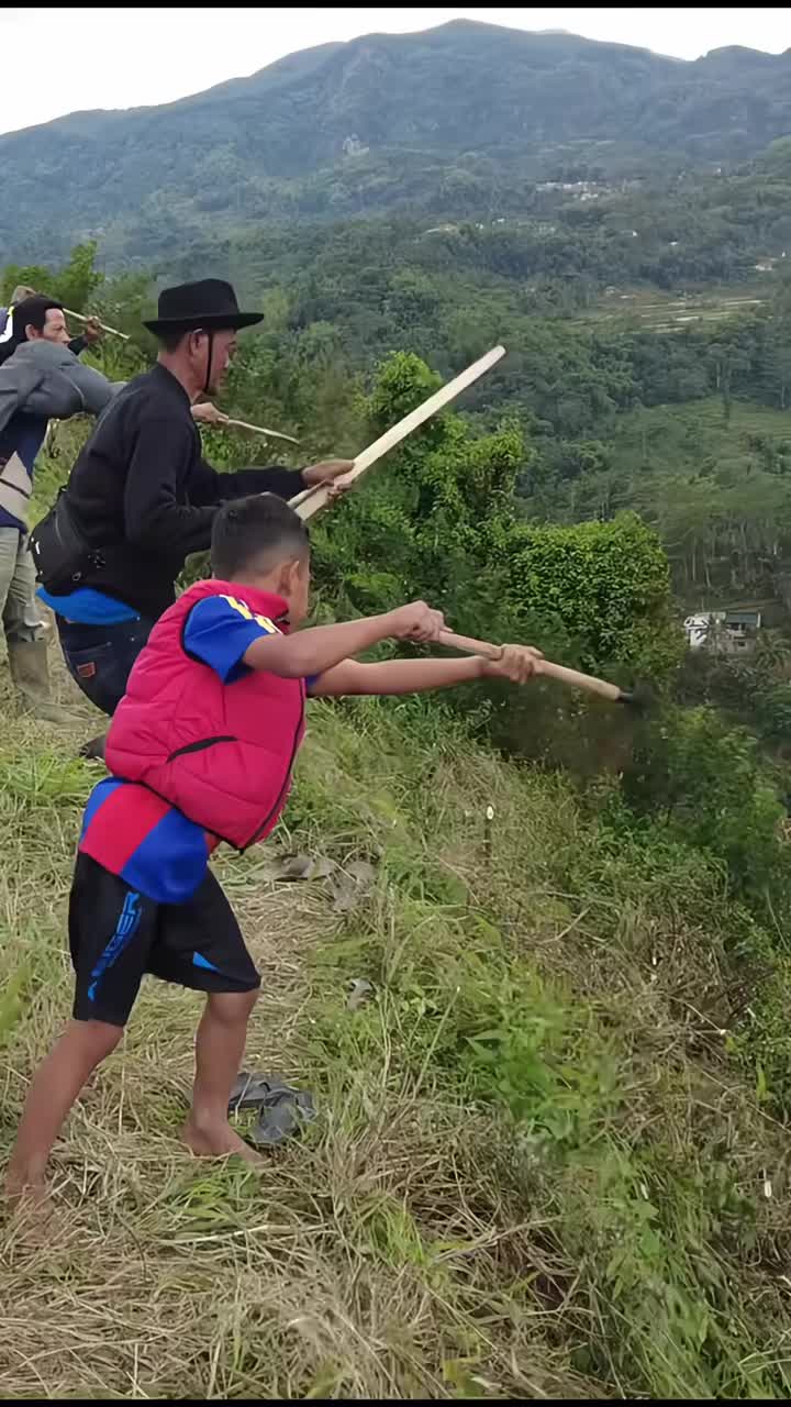 不懂就问....这是在整啥