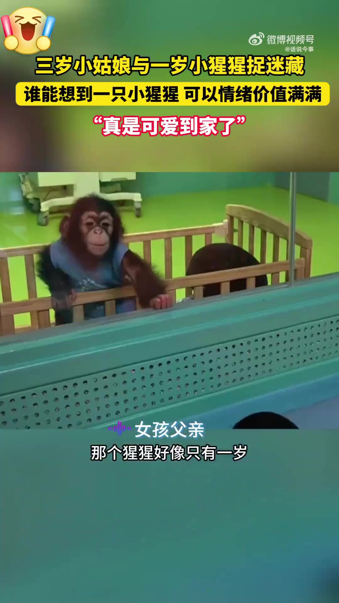 三岁小姑娘与一岁小猩猩躲猫猫，场面超欢乐