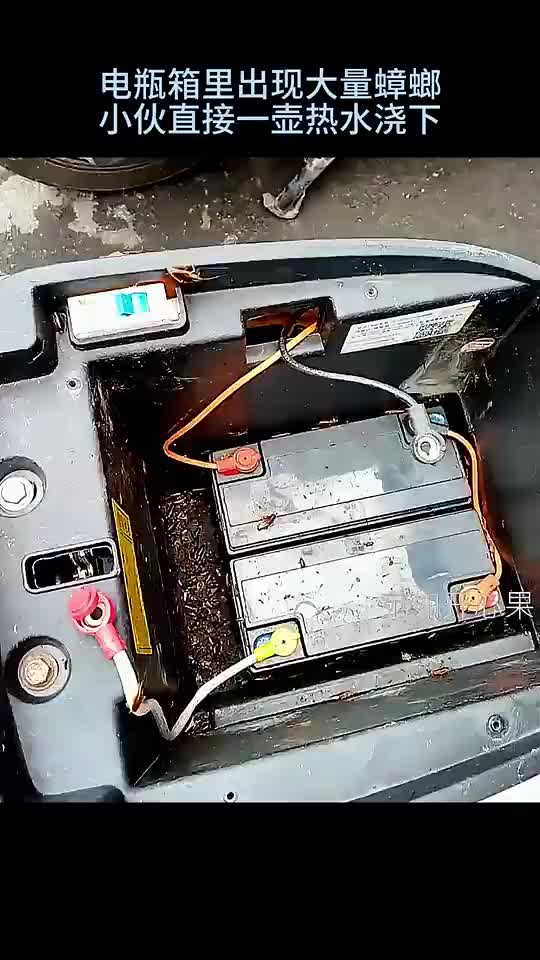 蟑螂没搞死，电池是不是也废了
