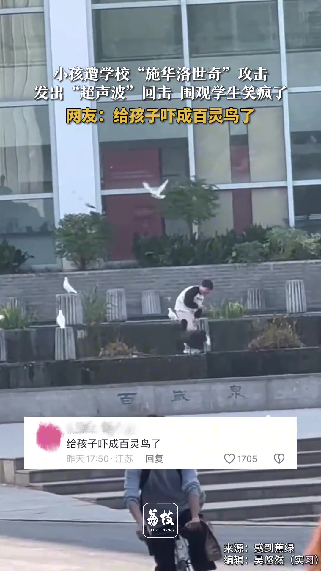 小孩遭学校施华洛世奇攻击发出“超声波”回击围观大学生笑疯了