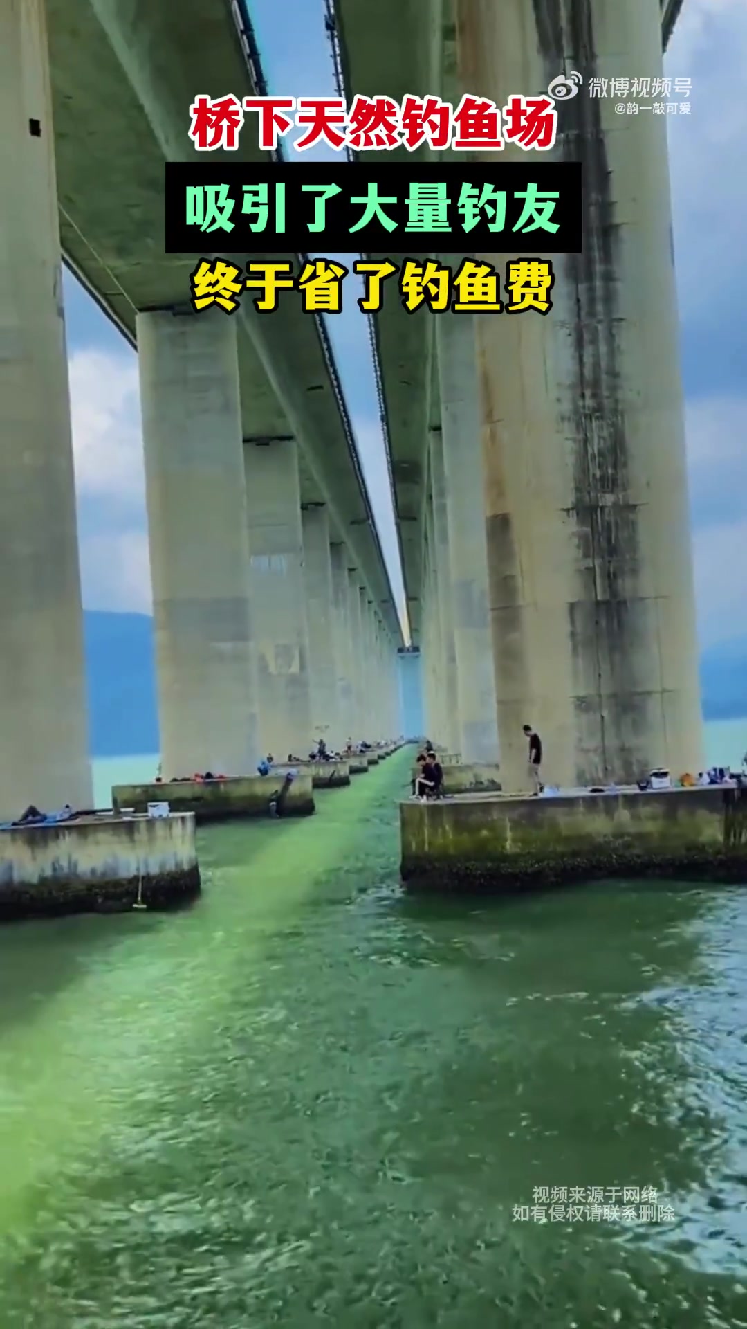 桥下天然钓鱼场，吸引了大量钓友，终于省了钓鱼费