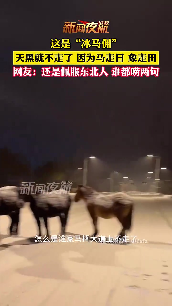这就是“冰马俑”吗