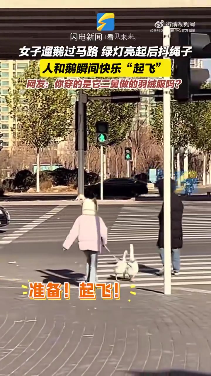 女子遛鹅过马路，绿灯亮起后人和鹅快乐“起飞”
