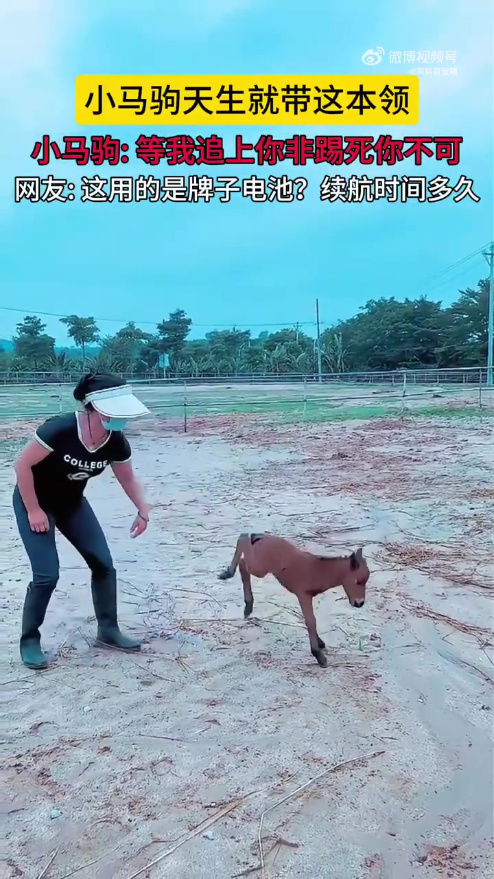 这用的是牌子电池?续航时间多久