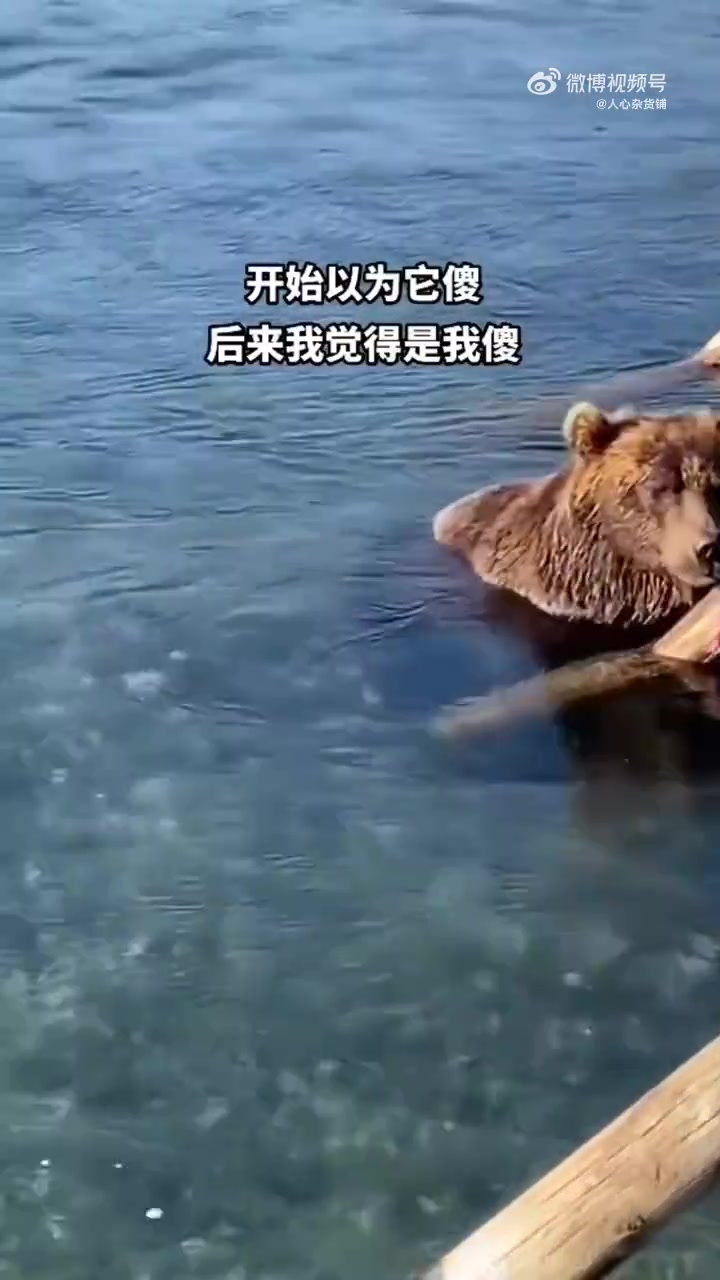 开始还以为它傻