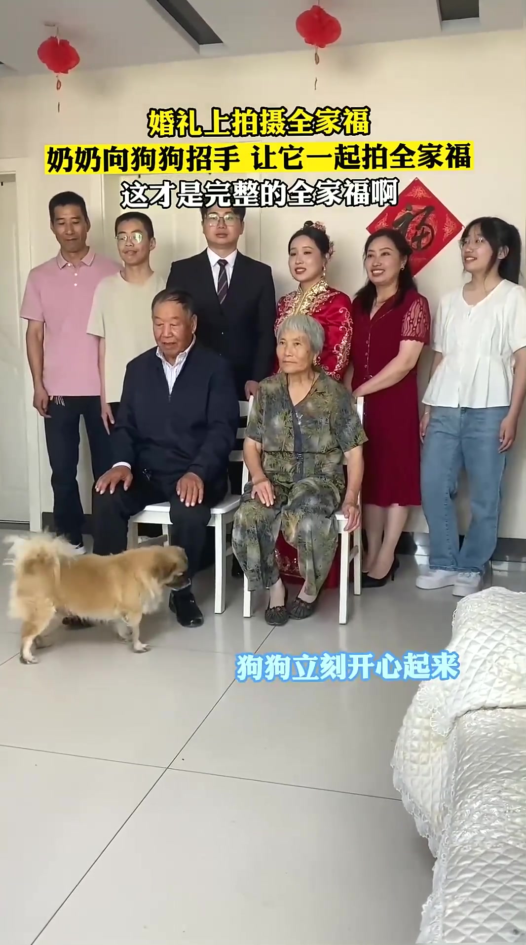 婚礼上拍摄全家福，奶奶向狗狗招手让它一起拍全家福