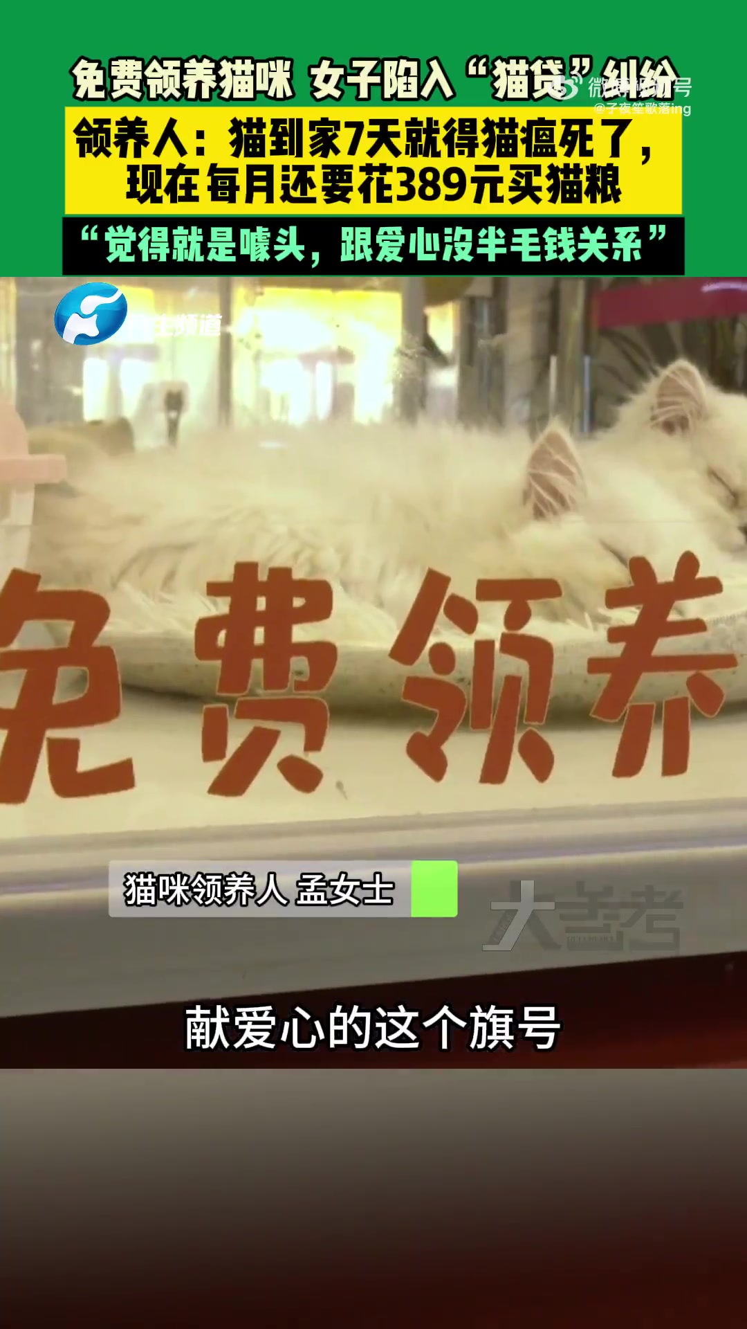 免费领养猫咪，领养人孟女士陷入“猫贷”纠纷