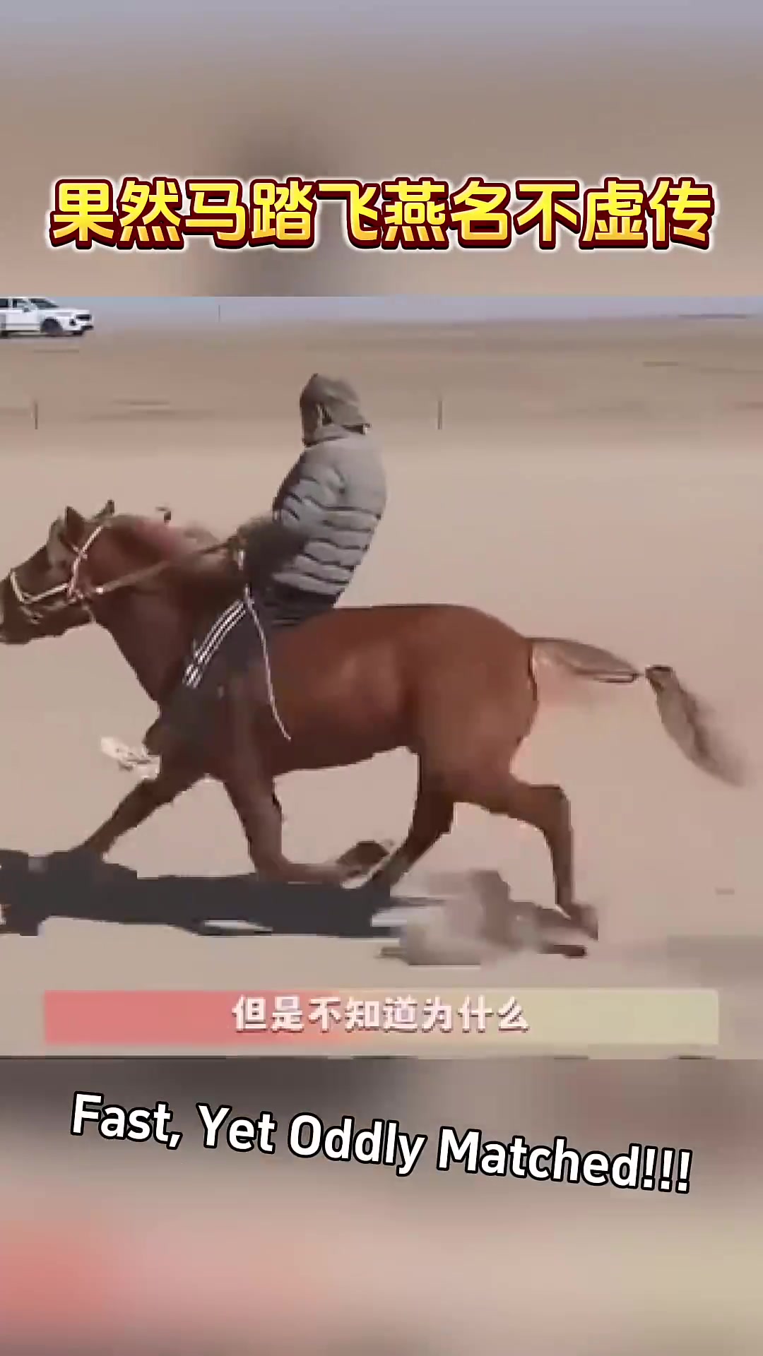 “马踏飞燕”，果然名不虚传！
